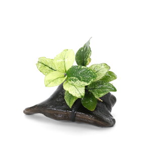 ijAkrAXii@@ؕt@~jTCYitji1{ji8cmȉj