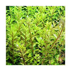 ij^@}Nh@i[[t@hgiMhitji_ji3{j