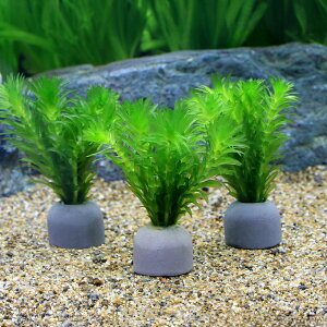 ij_JE@Y@[ICgOiO[jAiJX@~ji_ji1j