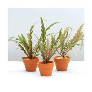 ijv`fĂ@nCOtB@sieBtB_itji_ji1j