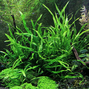 ij~N\E@Z~i[itji_ji1j