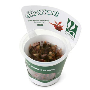 ijgD|{GROWOWI@Aeie@CL[i_ji1Jbvj@kCEBq֗vۉ