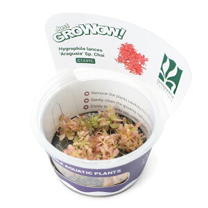 ijgD|{GROWOWI@nCOtBspD`Ci_ji1Jbvj@kCEBq֗vۉ