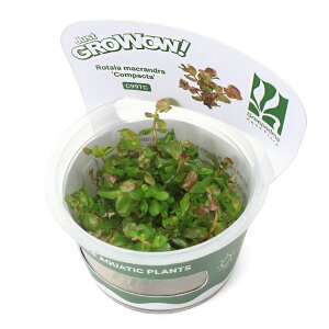 ijgD|{GROWOWI@^@}Nh@RpN^i_ji1Jbvj@kCEBq֗vۉ