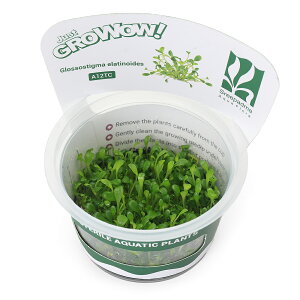 ijgD|{GROWOWI@Ob\XeBO}i_ji1Jbvj@kCEBq֗vۉ