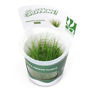 ijgD|{GROWOWI@wA[OXi_ji1Jbvj@kCEBq֗vۉ