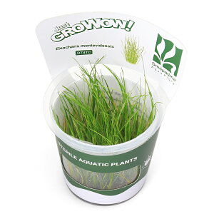 ijgD|{GROWOWI@WCAgwA[OXi_ji1Jbvj@kCEBq֗vۉ