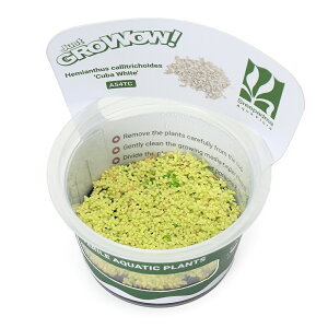 ijgD|{GROWOWI@zCgL[op[OXi_ji1Jbvj@kCEBq֗vۉ