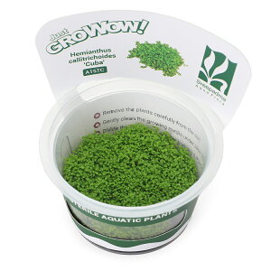 ijgD|{GROWOWI@L[op[OXi_ji1Jbvj@kCEBq֗vۉ