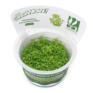 ijgD|{GROWOWI@p[OXi_ji1Jbvj@kCEBq֗vۉ