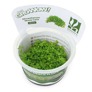 ijgD|{GROWOWI@j[[Wp[OXi_ji1Jbvj@kCEBq֗vۉ