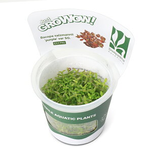 ijgD|{GROWOWI@oRp@Tc}j[p[v@var@SGi_ji1Jbvj@kCEBq֗vۉ