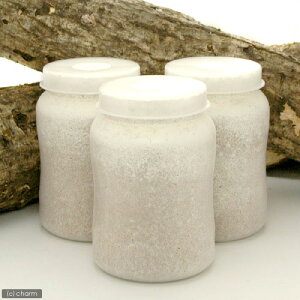 ێr@XL|POT@q^P@800cc@1{