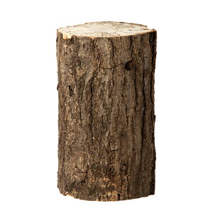 RiY؁@ځ@ށ@1{@@NK^p@֓