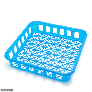 {gRei@1@@ێr@ll5_@֓