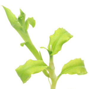 ieEjNsfBE@RjtHE@O[i1|bgj@kCEBq֗vۉ