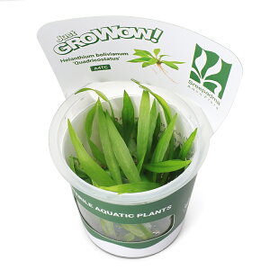 ijgD|{GROWOWI@`F[A}]i_ji1Jbvj@kCEBq֗vۉ