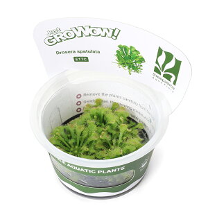 iHAjgD|{GROWOWI@REZSPi_ji1Jbvj@kCEBq֗vۉ