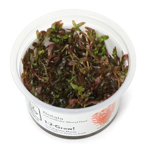 ijgD|{1|2|GROWI@^@gfBtHA@ubhbh@gsJi_ji1Jbvj@kCEBq֗vۉ