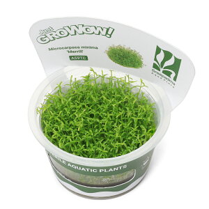 ijgD|{GROWOWI@CfBA@NXXi_ji1Jbvj@kCEBq֗vۉ