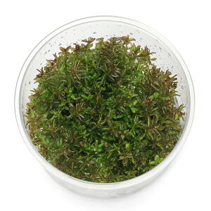 ijgD|{@^@}Nh@~j@bhi_ji1Jbvj@kCEBq֗vۉ