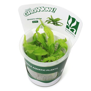 iHAjgD|{GROWOWI@EZSP@AfGi_ji1Jbvj@kCEBq֗vۉ