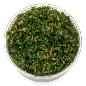 ijgD|{@^@}Nhi_ji1Jbvj@kCEBq֗vۉ