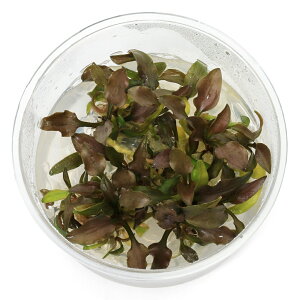 ijgD|{@NvgRl@Ef[^bhi_ji1Jbvj@kCEBq֗vۉ