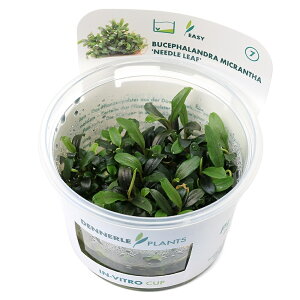 ijgD|{@fi[@uZt@h@~NT@j[h[ti_ji1Jbvj@kCEBq֗vۉ