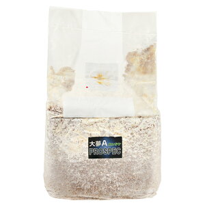 ێubN@喲A@vXybN@iJ^Pj@ubN@4250cc@1