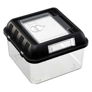 ঒ރP[W@Xh[@REPTI@CUBE@veBL[u@঒ށ@@P[W@vX`bN@֓