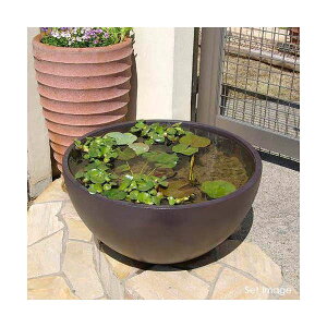 @@@i_Jj@z@RIN@ی^@_[NuE@M@@EE_J@֓