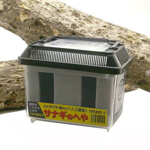 ~^j@lH匎@TiM̂ւ@3@YJugVp@@u[h@֓