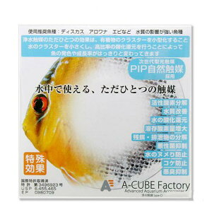 浄水触媒 ディスカス 触媒 水質浄化 チタン 関東当日便