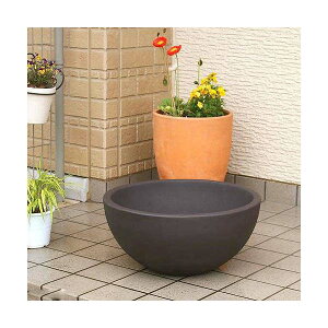 @@@i_Jj@z@RIN@ی^@_[NuE@S@@EE_J@֓