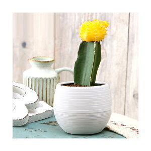 iAjT{e@q{^iꉲOj@CG[n@2D5i1|bgj