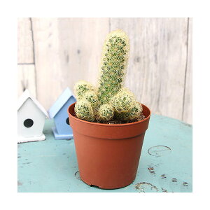 iAjT{e@}~A@i@3i1|bgj