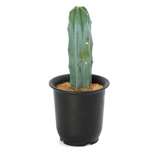 iAjT{e@~`JN^X@_؁@STCY@3i1j