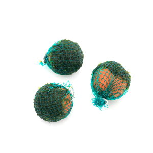 ijā@EB[X@΂܁itji_ji1jx^Xg[