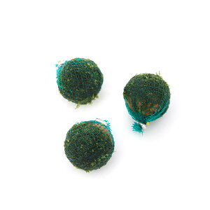 ijā@ăEB[X@΂܁itji_ji1jx^Xg[