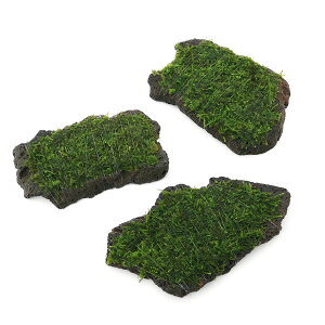 ijā@EB[XspDi[@XCXn΁@STCYi10cmjitji_ji1j