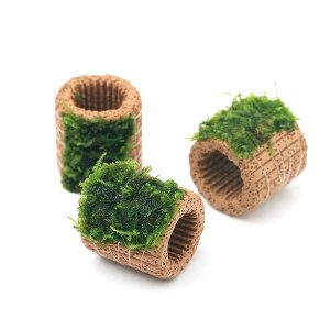 ijā@Ct}`ijEB[XspDi[itji_ji1j