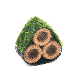 ijā@Ct}`ijEB[XspDi[@Re[Wijitji_ji1j