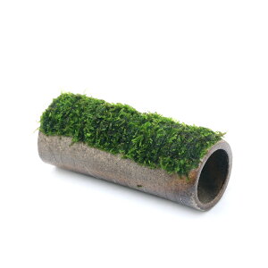 ijā@vqăvRVF^[@@EB[XspDi[itji_ji1j