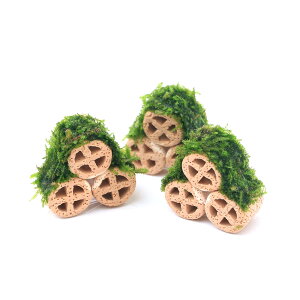 ijā@OvX@EB[XspDi[itji_ji3j