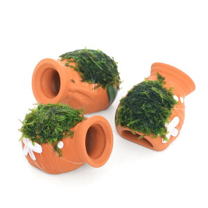 ijā@^Rc{~j~j@EB[Xitji_ji1j