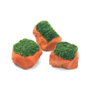 ijā@EB[X@[ICg@SSTCYi8cmȉjitji_ji1j