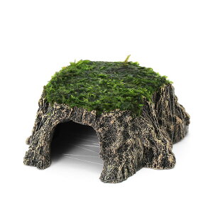 ijā@܂X@؂芔VF^[@STCYitji_ji1j