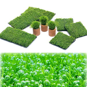 ijVAZbgitji_ji1j@kCEBq֗vۉ