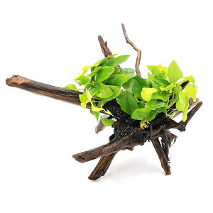 ijAkrAXii@S[f@fBA[z[Ebhi25`30cmjitji1{j